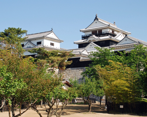 愛媛の墓じまいに特化